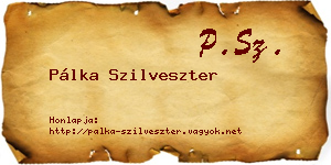 Pálka Szilveszter névjegykártya